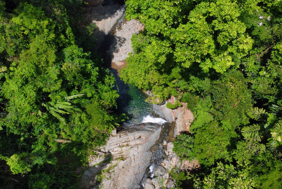 JUNGLE DREAMS FARM: WHERE NATURE MEETS SERENITY – 20 ACRES